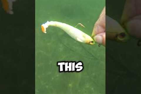 I can’t believe someone lost these lures!!
