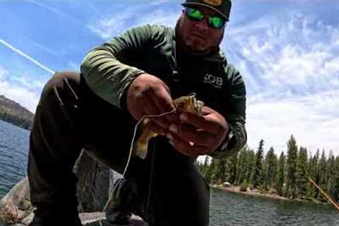 Fishing a NEW Lake &amp; Catching a NEW Species(Shaver Lake)🎣🐟