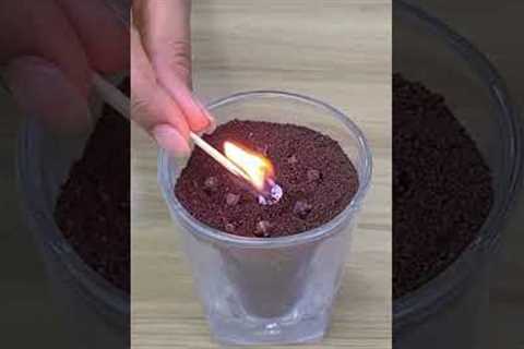 Flies and mosquitoes will flee from your house with this easy homemade recipe