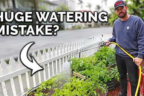 5 Watering Mistakes You're Probably Making
