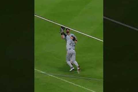 The White Sox have just gone full White Sox 😂 #mlbhighlights