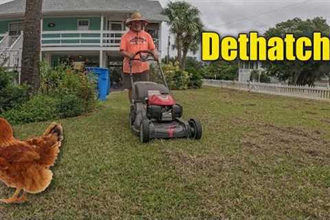 Fall Lawn Care Tips Last Minute Rescue