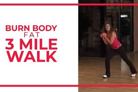 Burn Body Fat 3 Mile | Leslie Sansone's Walk at Home