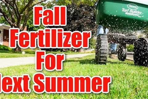 Fall Lawn Care and Maintenance in 3 Steps