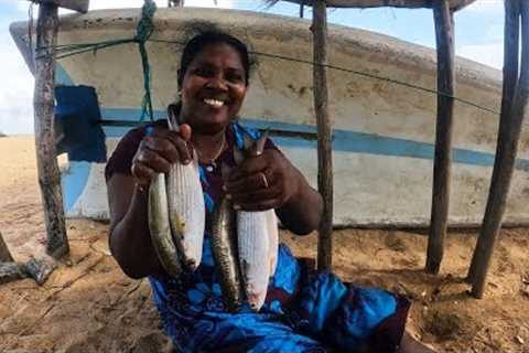 Fish Catching And Cooking In Beach I Cast Netting And Catching Mullet Fish To Cook Delicious Curry