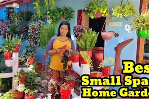 Small Space Home Garden Tour | Gardening Ideas Using Bottles | DIY Garden | Hanging Plants