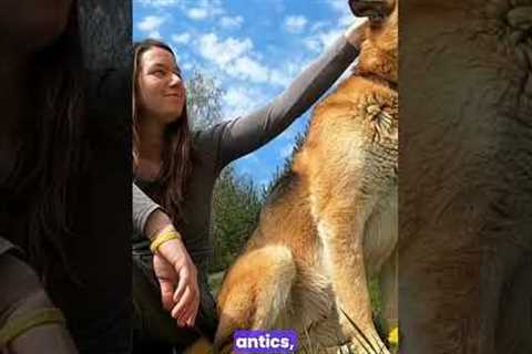 The CUTEST Animals Ever! 🐶🐱dog,dog videos,viral,dog video,viral dog dance video,talking dog viral