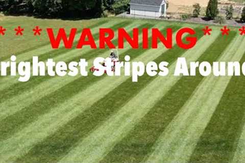 Lawn Striping | How To Stripe a Lawn With Any Mower