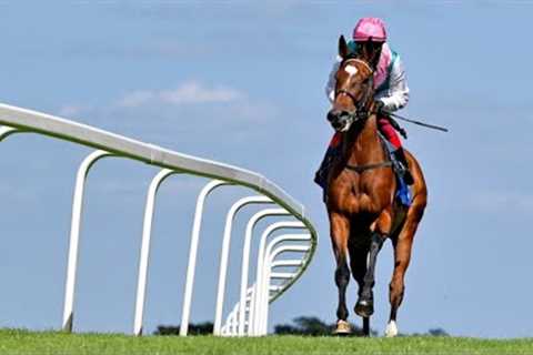 ENABLE’S half-sister ZILFEE makes winning debut at Kempton Park