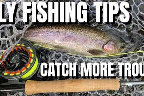 Catch MORE Trout by doing THIS! Trout Fly Fishing Tips