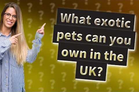What exotic pets can you own in the UK?