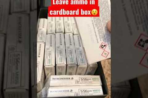 NEVER Leave Ammo In Cardboard 😵