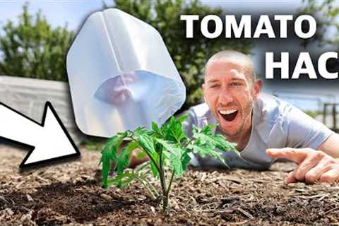 10 FREE Garden HACKS Using Household Items, You Can't Afford to Miss This!