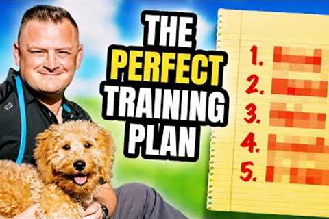 How to Train Your NEW Puppy! - 5 Simple Steps