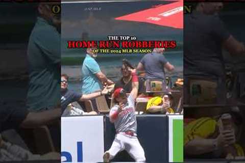Top 10 Home Run Robberies of 2024 | Part 1