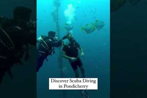 Get adventure crazy! Scuba dive with ur friends in #pondicherry this year. Contact us @ 6384445248