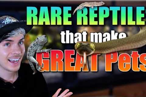 RARE Reptiles that Make Great Pets for Beginners!