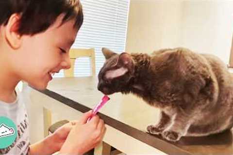 Boy Couldn't Make Friends Until He Met This Cat | Cuddle Buddies