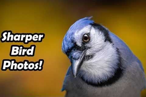 HERE’S WHY YOUR BIRD PICS AREN’T SHARP.
