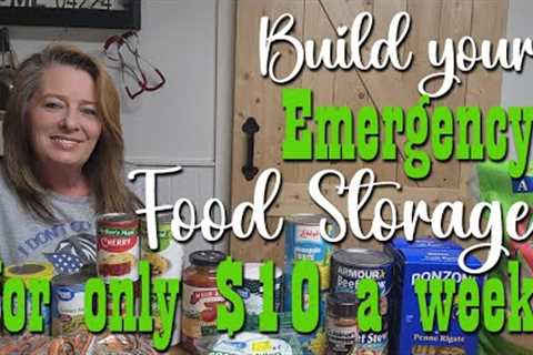 Build your Emergency Food Storage with only $10 a week ~ Budget Prepping