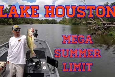 Bass Fishing on Lake Houston