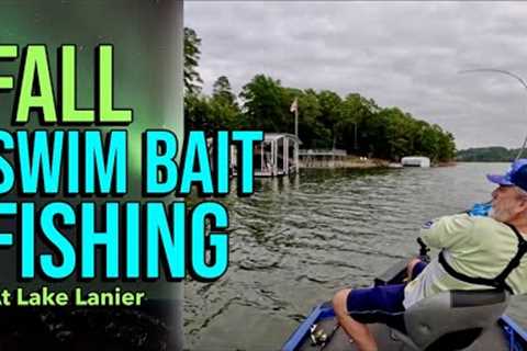 Fall Swim Bait Fishing At Lake Lanier