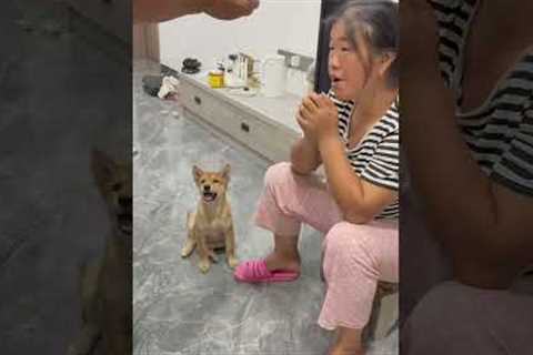 This method is really good. It only takes one minute to train the puppy to bark.