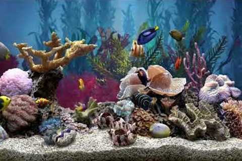 Very Relaxing Fish Tank Aquarium With Water Sound For Focus | No Music | HD