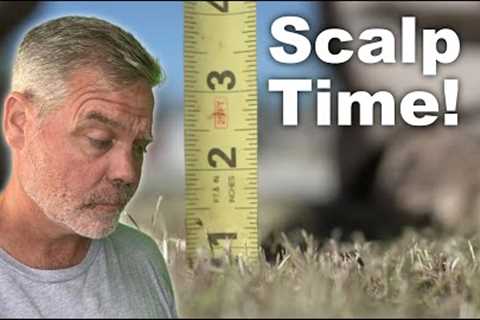 Don't Be Scared to Scalp :: Bermuda and Zoysia Spring Lawn Prep