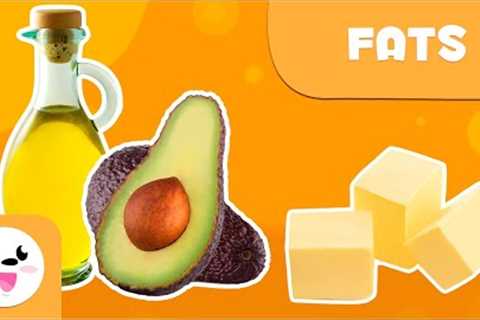 What are fats? - Healthy Eating for Kids