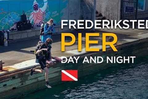 Scuba Diving St. Croix's Most Diverse Site! (Frederiksted Pier Underwater Family Travel Vlog)