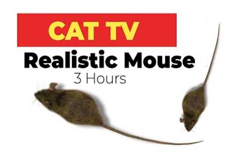 CAT GAMES - Realistic Mouse  HD - 3 HOURS (Video for Cats &amp; Dogs to watch)