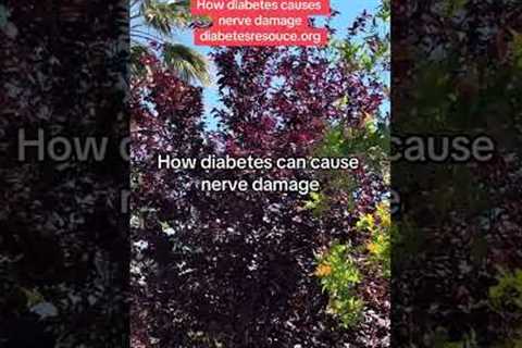 This is how diabetes causes nerve damage