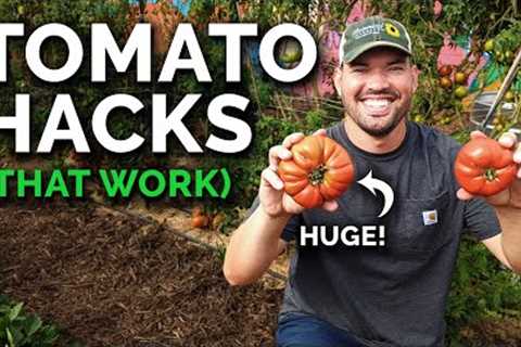 9 Tomato Growing Tips (That Actually Work)