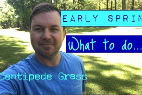 Early Spring - Centipede Grass Care