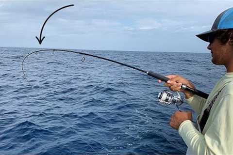 Most Effective Rig for Offshore Fishing! Bites as Soon as you Hit Bottom! (Snapper Fishing)