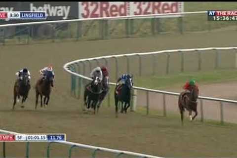 Racehorse shows incredible burst of speed