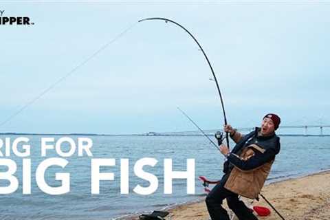 Catch BIGGER FISH w/ this Fishing Rig! Beach Fishing Rigs and Tactics