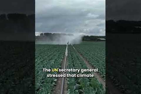 Global Food Crisis  Climate Change Impact