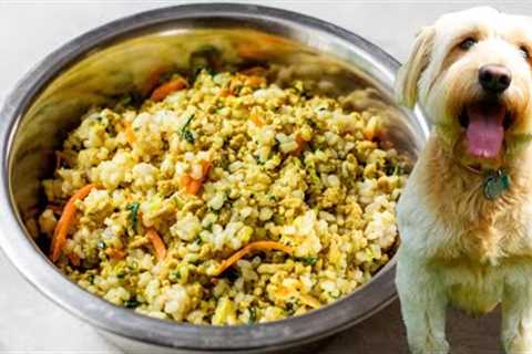 HOMEMADE DOG FOOD | healthy dog food recipe