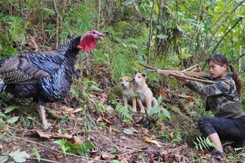 2 days of survival in the deep forest, setting turkey traps, catching giant stream fish