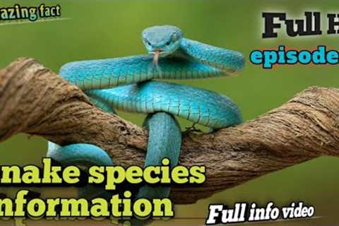 snake species in india | ❌🐍 | snakes video snake species snake world biggest snake 2024 | epi 8