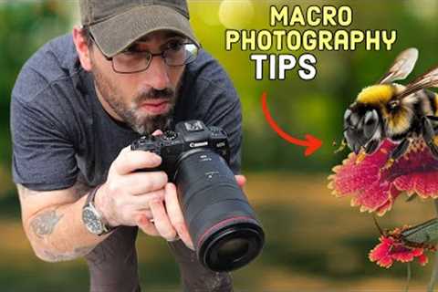 Three MACRO PHOTOGRAPHY HACKS for Stunning Images with the CANON 100MM F2.8