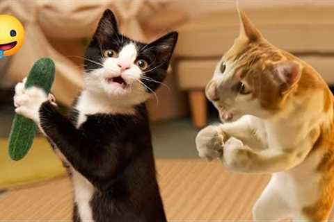 Best Of The 2024 Funny Animal Videos 😂 Funny Dogs and Cats Make You Unable To Stop Laughing🤣🐶