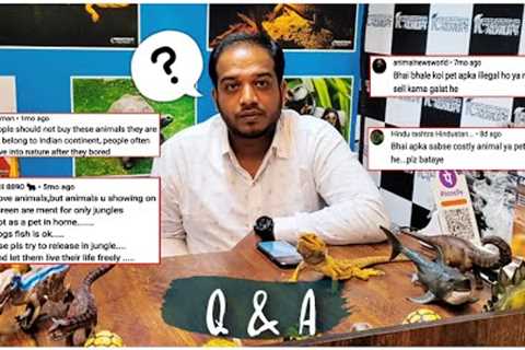 QnA On Exotic Pets | Is Keeping Exotic Pets In India Illigal !!? | Reply To All The Quires.. #india