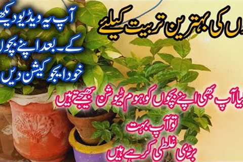 Parenting Mistakes 💫10 Things To Learn For Best Parenting🎗| Parenting Tips|| How To Be A Good..