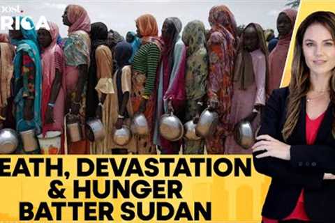 UN Begins Seed Distribution Campaign To Save War-Torn Sudan From Famine | Firstpost Africa