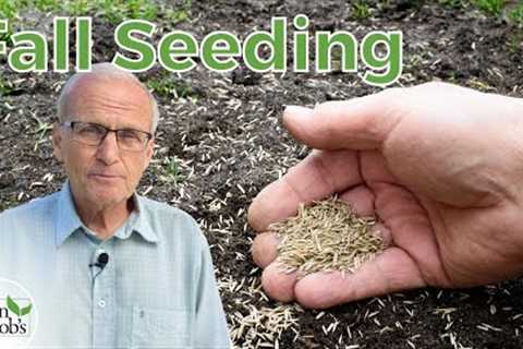 Fall Lawn Care | How To Grow Grass From Seed &amp; Overseed In Fall
