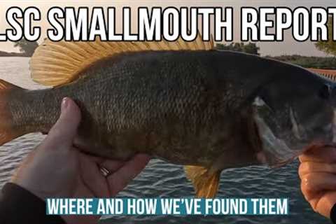 Lake St Clair Smallmouth Bass Fishing Report