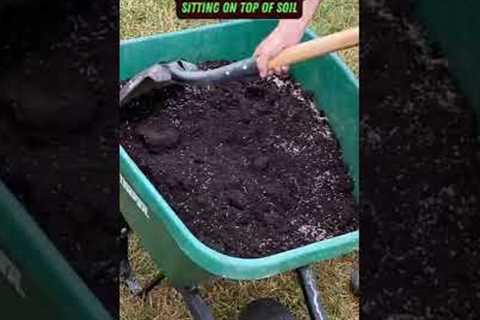Spread Grass Seed &amp; Soil Fast | #shorts #soil #maintenance #lawn #tips